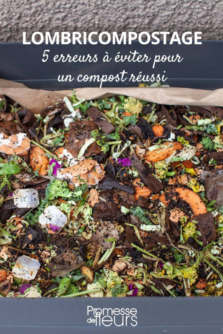 Worm Composting: 5 Mistakes to Avoid for Successful Composting vermicompost