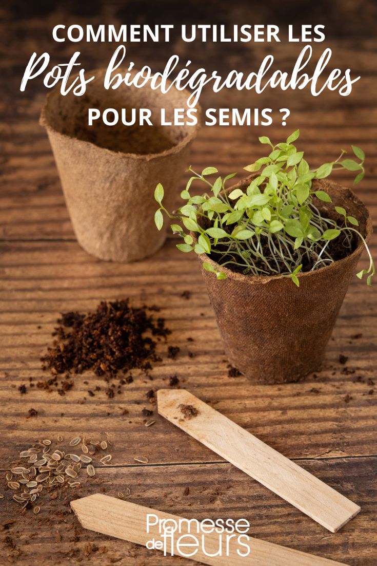 sowing pot