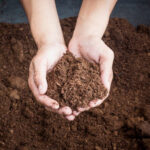 Gardening without turf: why and how to preserve this resource?