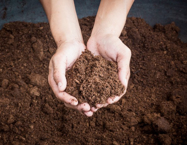 Gardening without turf: why and how to preserve this resource?