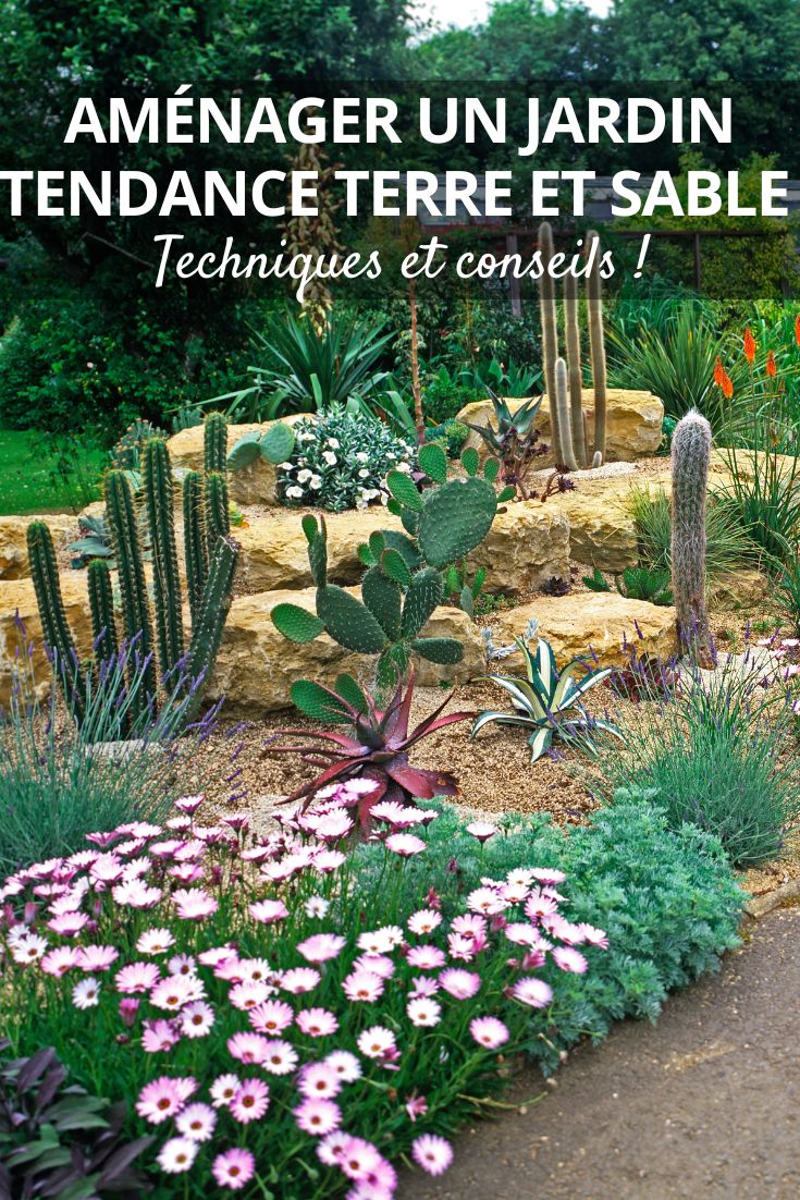 Create a trendy Earth and Sand garden Soil and Sand: The Garden Trend Embracing Desert Plants