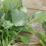 Grow cress in a pot on your balcony.