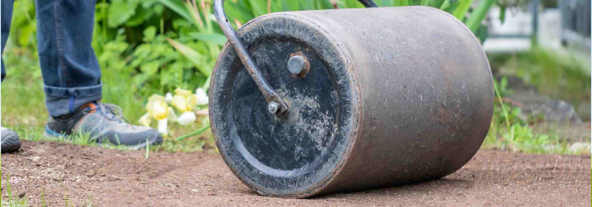 How and why to roll the lawn before sowing?