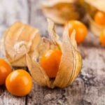 <em>Physalis</em> tea: an autumn-coloured infusion