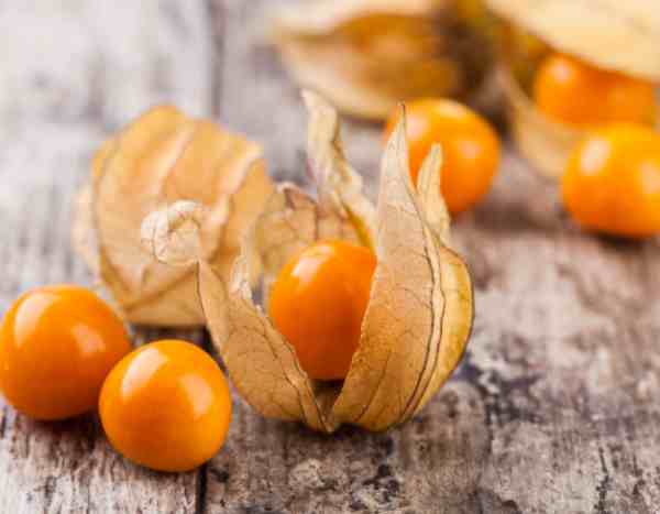 Physalis tea: an autumn-coloured infusion