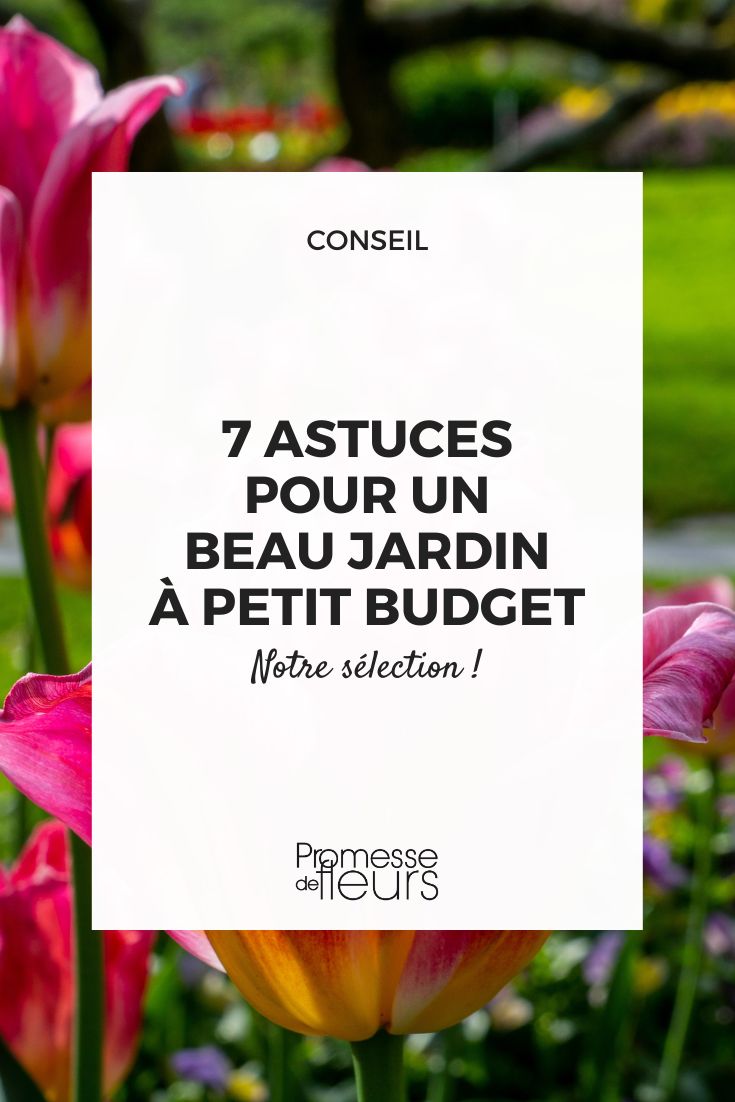 Our ideas to enhance your garden without breaking the bank