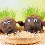 How to make a grass head: a fun DIY activity for children