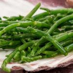 Growing glasswort in a pot: how and why?