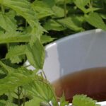 Manures in the garden: when to use them? How to dose and apply them?