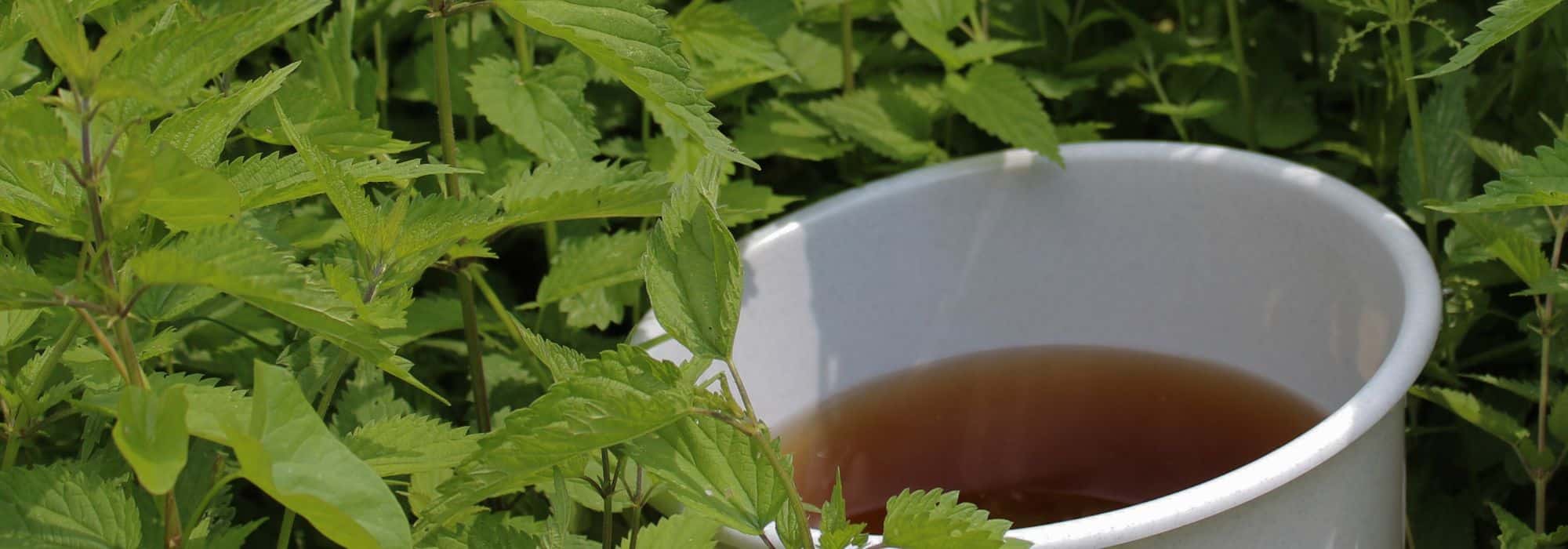 Decoction and manure for the garden: what are the differences and why using them?