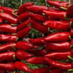 5 tasty, mild sweet peppers
