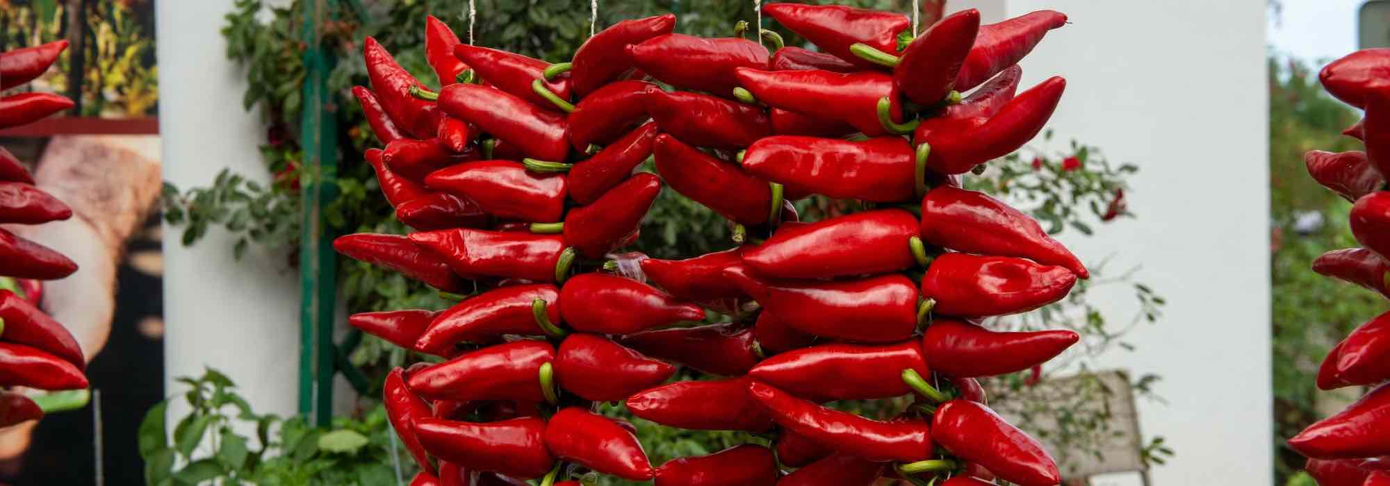 5 tasty, mild sweet peppers