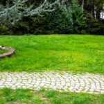 How to lay a garden path with paving stones?