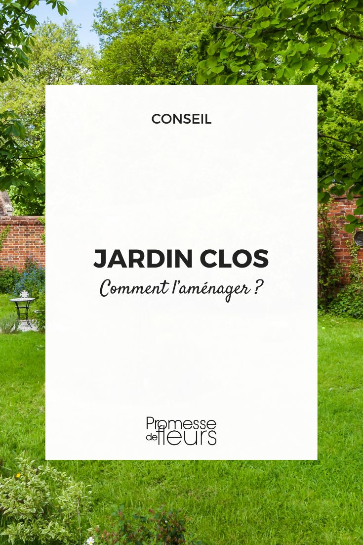 Garden Layout and Tips for a Hedge Garden