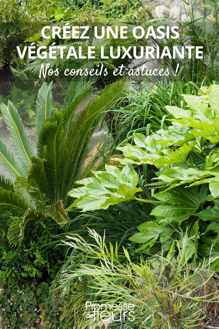 Create a lush green oasis in your garden! A lush garden