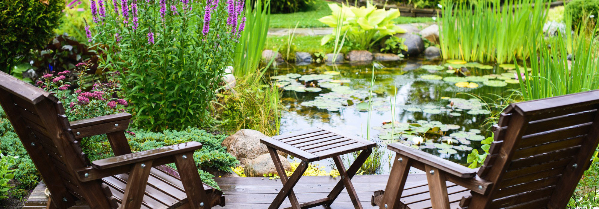 How to create a refreshing oasis in the garden or on the terrace?