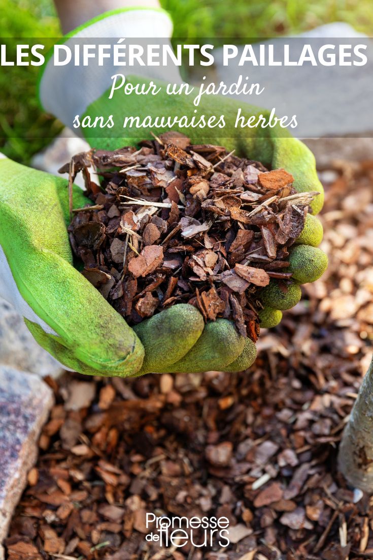 Pine Bark and Other Mulching