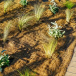 How to lay biodegradable mulching fabric?