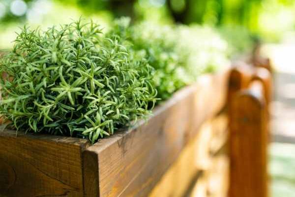 How to prepare a raised planter properly?