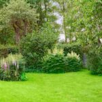 How to position trees correctly in a garden?
