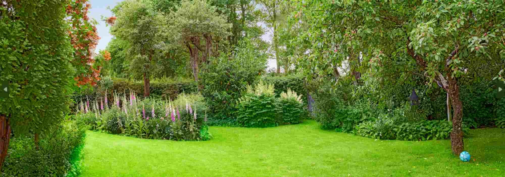 How to position trees correctly in a garden?