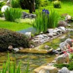 Maintaining a garden pond in spring