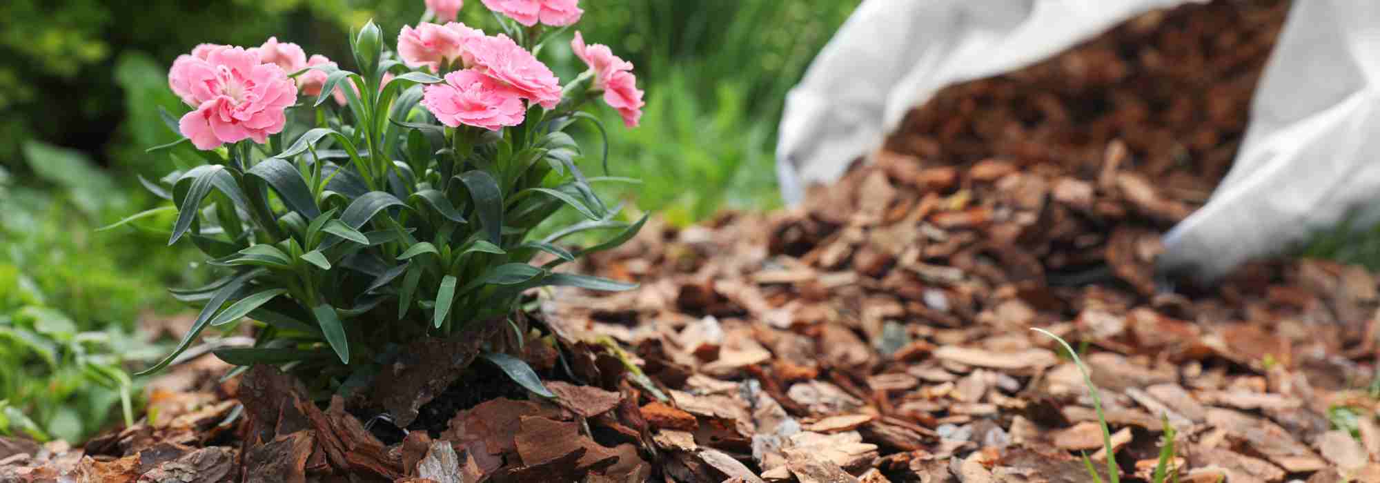 The best mulches to say farewell to weeds