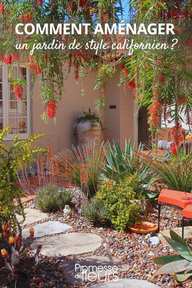 How to create a Californian-style garden Ideas and tips for a Californian garden