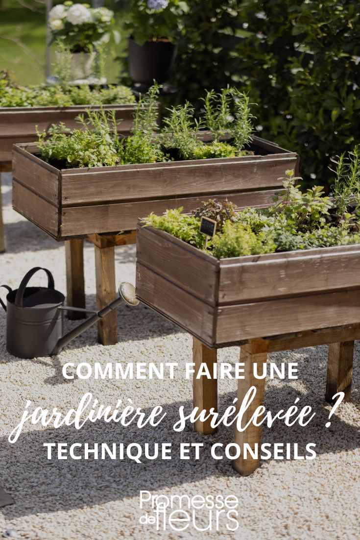 vertical gardening