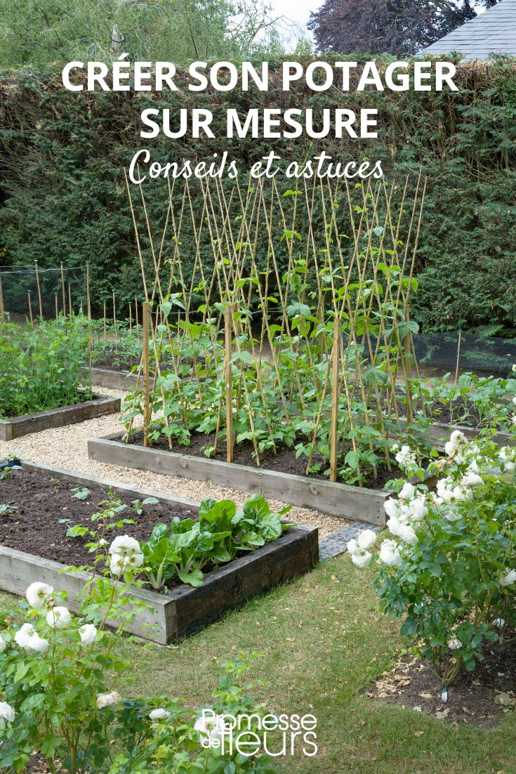 How to create a customized vegetable garden to suit your needs A Tailor-Made Vegetable Garden