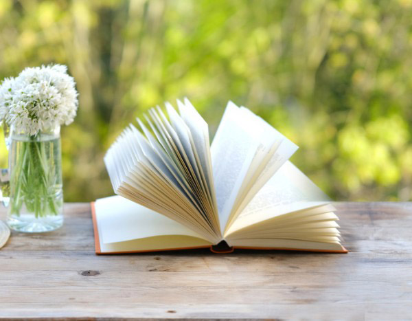 From seed to page: how to create a garden journal step by step?