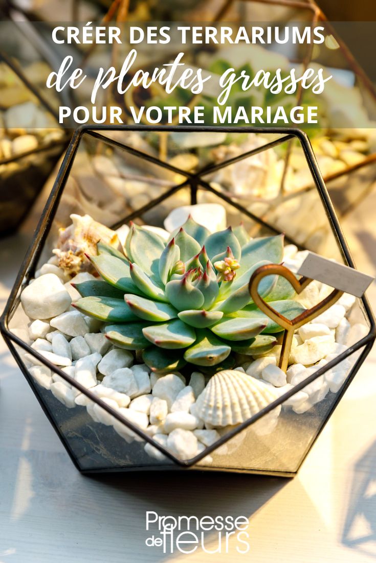 DIY Decorative Mini Terrariums