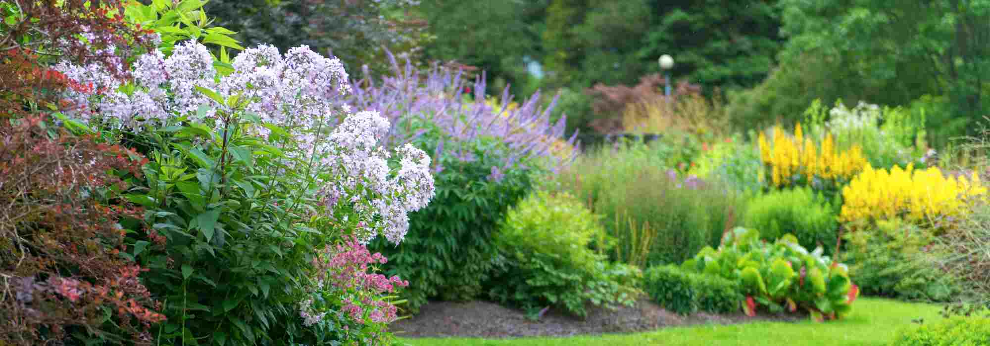 How to look after your garden in summer?