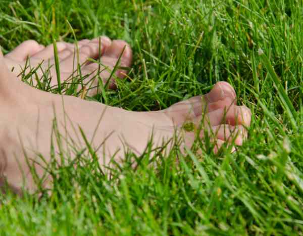 Grounding or Earthing: How to Reconnect with the Earth?