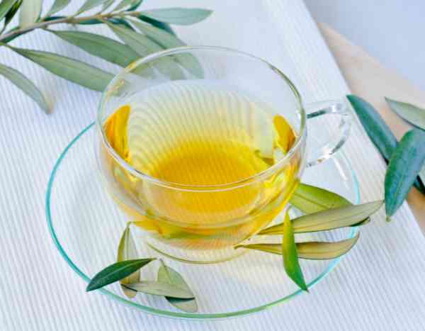 Olive leaf tisane: benefits and recommendations