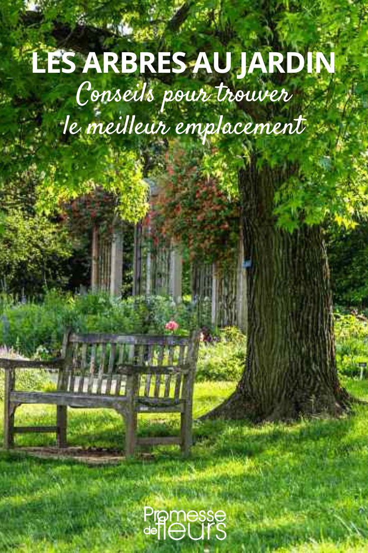 Where to plant trees