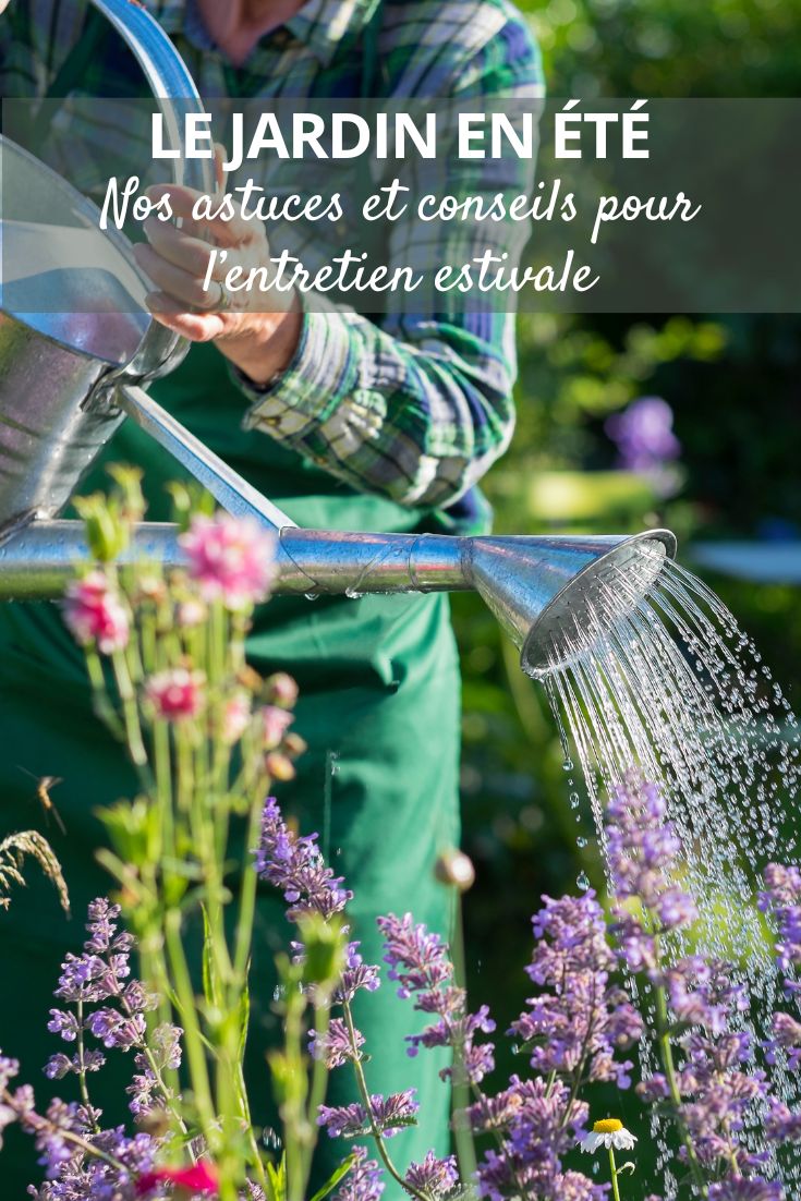 Summer Gardening Activities

Summer is the perfect time to enjoy your garden and make the most of the sunny weather. Here are some activities you can do to keep your garden looking beautiful and thriving during the summer months:

1. **Watering**: Make sure to water your plants regularly, especially during hot and dry periods. Early morning or late evening is the best time to water to avoid evaporation.

2. **Weeding**: Keep your garden beds weed-free by regularly pulling out any unwanted plants. This will help your plants to thrive without competition for nutrients.

3. **Pruning**: Deadhead flowers to encourage new blooms and prune any overgrown shrubs or trees to maintain their shape and health.

4. **Harvesting**: If you have a vegetable garden, summer is the time to harvest your crops. Enjoy fresh produce straight from your garden.

5. **Pest Control**: Keep an eye out for pests and diseases in your garden. Remove any affected leaves or plants and consider using natural pest control methods.

6. **Mulching**: Mulch your garden beds to retain moisture, suppress weeds, and regulate soil temperature during hot weather.

7. **Feeding**: Fertilize your plants to ensure they have the nutrients they need to grow and bloom. Choose a suitable fertilizer for each type of plant.

8. **Relaxing**: Don't forget to take some time to relax and enjoy your garden. Sit back, unwind, and appreciate the beauty of your hard work.

By following these summer gardening activities, you can ensure that your garden remains healthy, vibrant, and a joy to spend time in throughout the summer season.