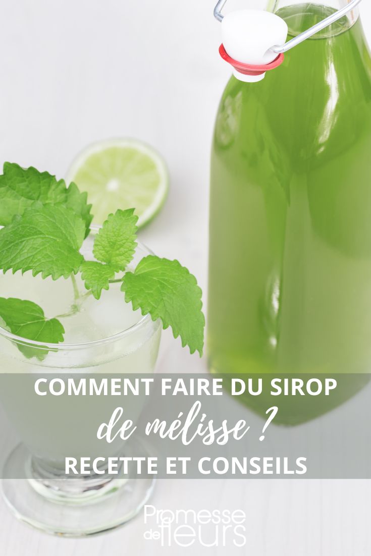 Recipe: Homemade Lemon Balm Syrup