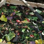 Our tips to effectively manage compost in summer
