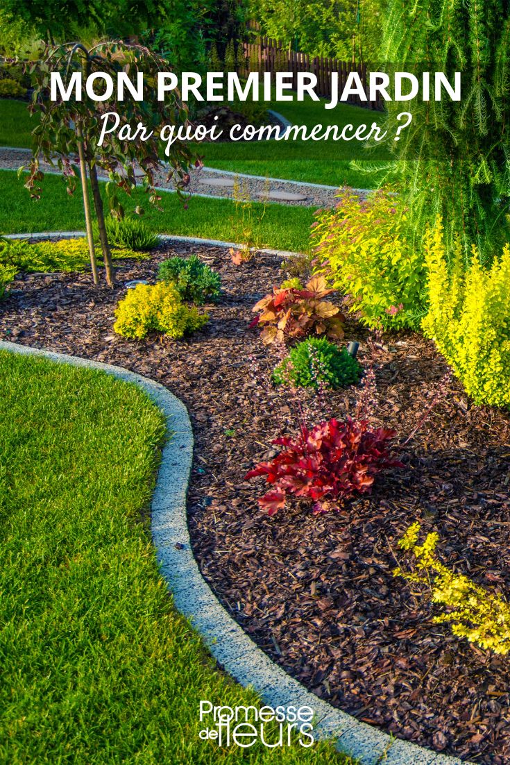 where to start gardening, ideas and tips for your first garden