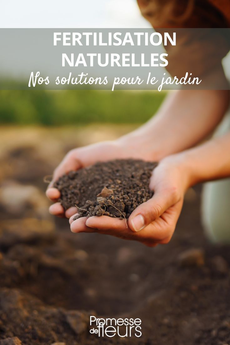 compost and natural fertilizers