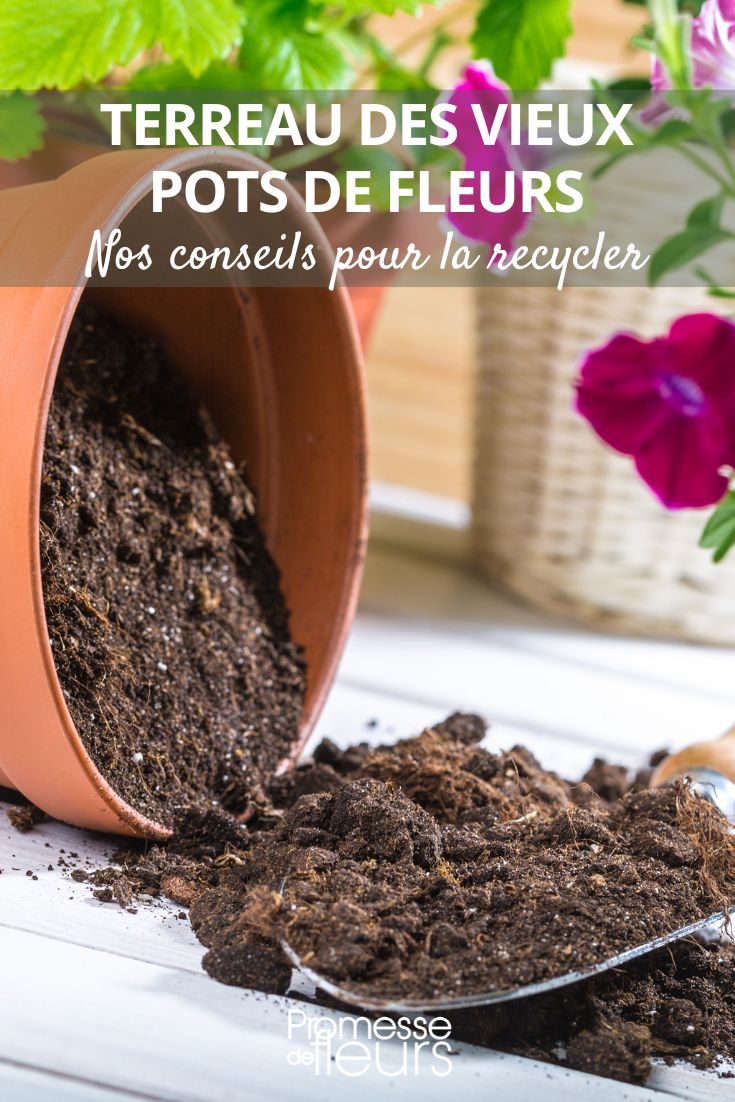 what to do with old potting soil