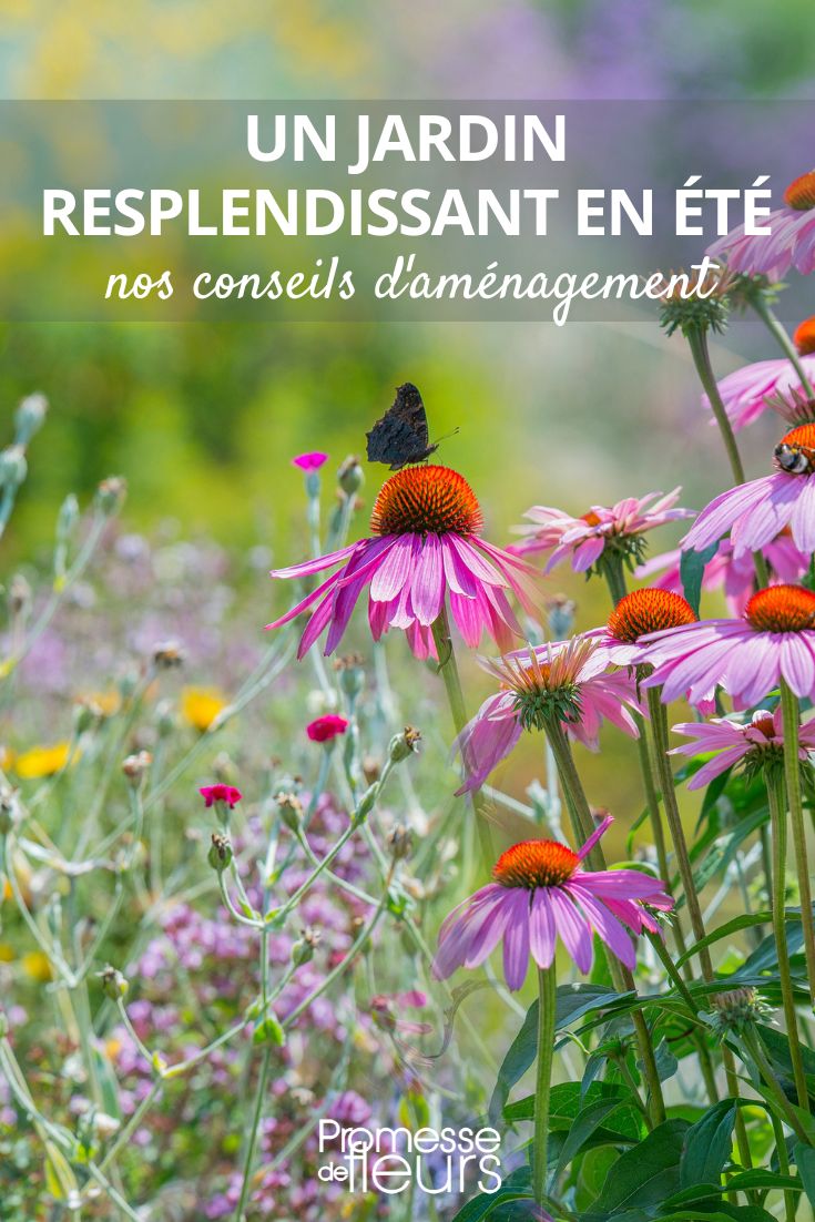 Tips for a beautiful garden even in the summer