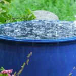 Tap water, rainwater or demineralised water: which is best for watering plants?