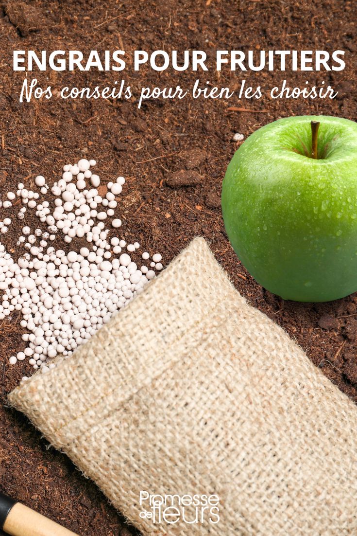 fruit trees fertiliser what fertilizer for my fruit trees