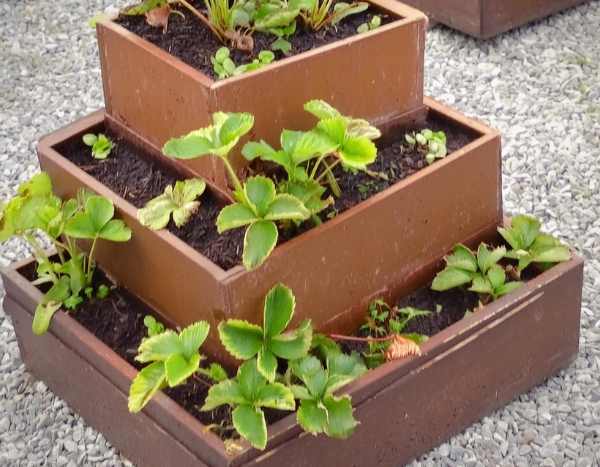 How to build a strawberry tower?