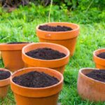 What should I do with the soil and potting compost from old flower pots?
