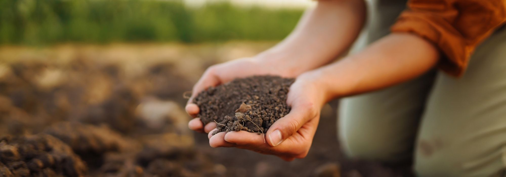 Our 100% natural garden fertilisers