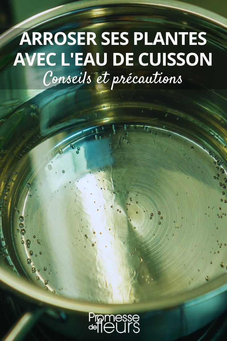 Watering plants with cooking water: Is it a good idea?