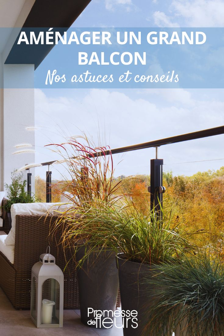 Planting on a balcony